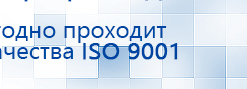 Жилет ДЭНАС-ОЛМ-02 купить в Ижевске, Одеяло и одежда ОЛМ купить в Ижевске, Дэнас официальный сайт denasdoctor.ru