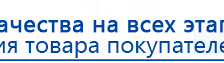 ДЭНАС-ПКМ (13 программ) купить в Ижевске, Аппараты Дэнас купить в Ижевске, Дэнас официальный сайт denasdoctor.ru